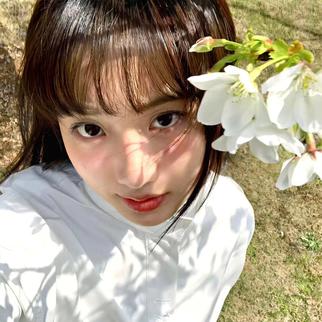 彩虹族 封面