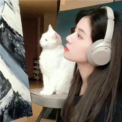 猫：看见死亡的双眼 封面