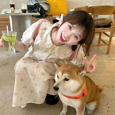 爱情魔发师 封面